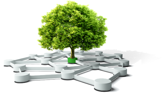 产品远销欧美、东南亚等国家_江苏恒安化工